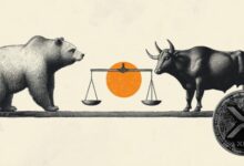 ريبل تستقر عند الدعم مع صعود محدود