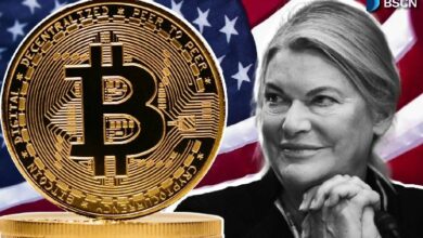سينثيا لوميس: السيناتور الأمريكية الداعمة للعملات الرقمية