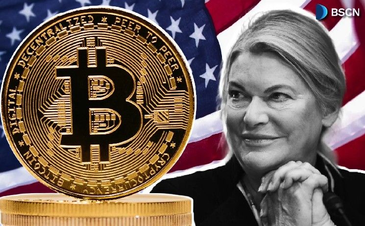 سينثيا لوميس: السيناتور الأمريكية الداعمة للعملات الرقمية
