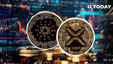 "زيادة زخم XRP و ADA بعد دعم CME"