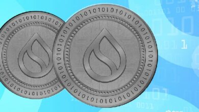 شبكة Sui تتعطل لليوم الثاني على التوالي مع تراجع الرمز الأسبوعي بنسبة 20%