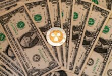 تقرير: ريبل تقود جمع مليار دولار لخزينة XRP