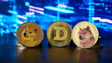 365 يومًا: متداولو الدوجكوين (DOGE) يحققون نقطة التعادل أخيرًا