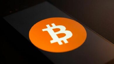 سكاي بريدج التابعة لسكاراموتشي تسجل خسارة فصلية ثانية على التوالي بسبب رهانها على العملات المشفرة