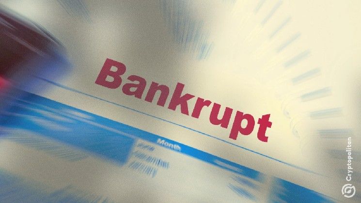 شركة فيميون المالية التابعة لزوندا كريبتو تقدم طلب إفلاس بعد انهيار البورصة