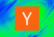 لأول مرة، Y Combinator تعقد مقابلات مع شركات العملات المشفرة الناشئة في نيويورك
