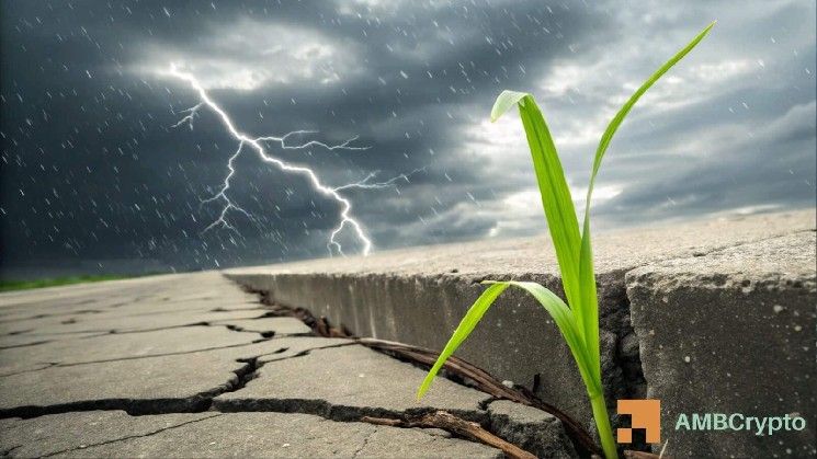 عشب الكريبتو يرتفع 11% رغم تراجع الحجم – هل تتزايد مخاطر التقلب؟