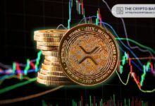 استخدام XRP يرتفع مع كشف ريبل عن 13,000 اتصال مصرفي وتدفق بقيمة 12.5 تريليون دولار
