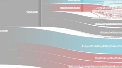 درافت كينغز، ميتا، وأندريسن هورويتز ينفقون الملايين على انتخابات الولايات