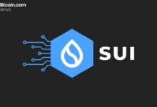 سوي تجعل جميع معاملات العملات المستقرة خاصة افتراضيًا في تحديث ضخم