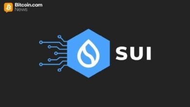سوي تجعل جميع معاملات العملات المستقرة خاصة افتراضيًا في تحديث ضخم
