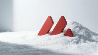 أفا إكس (AVAX) تتداول في نطاق ضيق لمدة 110 أيام قرب 9.28 دولار
