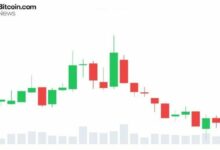 إشارات صمود لدعم XRP الرئيسي رغم موجة بيع بينانس غير الحاسمة