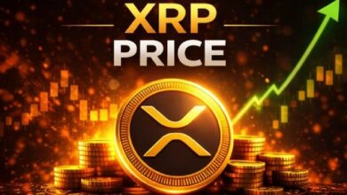 حلم XRP بـ20 دولاراً يعود، لكن الثيران بحاجة لاستعادة مستويات مفتاحية