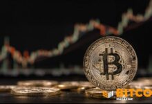 تجاوزت عملة "SATA" من "Strive" حاجز 490 بيتكوين في يوم واحد - أكثر من إجمالي الإنتاج اليومي للتعدين