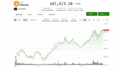بيتكوين يواصل الصعود إلى 81,500 دولار مع تعزيز الترميز لصعود "بيوليش" و"جالاكسي" و"سنتريفيوج"