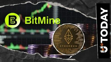 بيتماين توسع موجة شراء الإيثريوم باستثمار إضافي بقيمة 50 مليون دولار