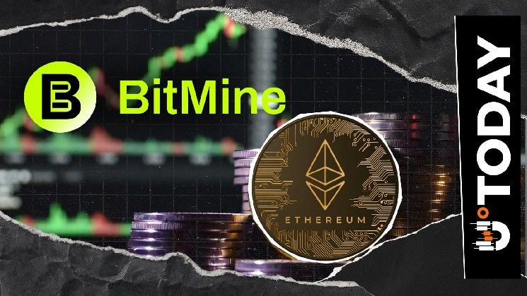 بيتماين توسع موجة شراء الإيثريوم باستثمار إضافي بقيمة 50 مليون دولار