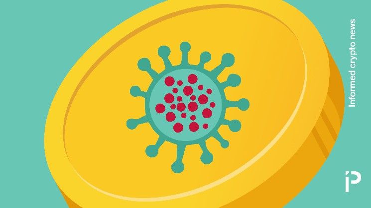 متداولو عملات الميم يتضرعون لجائحة فيروس هانتا العالمية