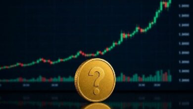 مُتداول صيني في العملات الرقمية يشارك عملة رقمية بديلة ذات "أنقى" نظرة فنية!