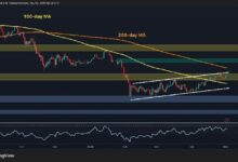 تحليل سعر البيتكوين: BTC يغلق فوق المتوسط المتحرك لـ100 يوم وسط تطلعات الثيران للاختراق