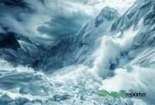شركة YOM تبني على Avalanche بـ1000+ عقدة وأكثر من 40 ناشرًا نشطًا
