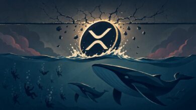 عودة النشاط المضاربي لعملة XRP – هل ينتصر الطلب على ضغوط البيع؟