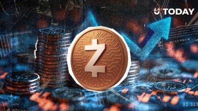 Zcash (ZEC) يرتفع بنسبة 7% مع ظهور "التقاطع الذهبي" رغم تراجع السوق
