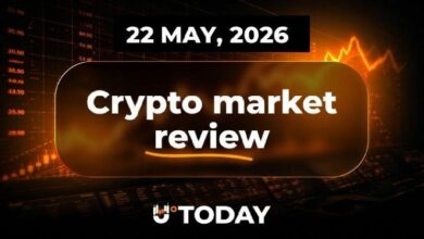 هيبرليكويد (HYPE) تقترب من أعلى مستوى تاريخي، وشيبا إينو (SHIB) تواجه ضغط هبوطي قوي، وتونكوين (TON) يعود إلى 2 دولار: مراجعة سوق العملات الرقمية