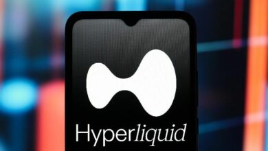 لماذا يرتفع HYPE من Hyperliquid؟ والإجابة ليست صندوق المؤشرات المتداولة (ETF)