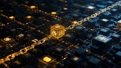 آي إكسك وريال توقعان مذكرة تفاهم لاستكشاف البنية التحتية لحماية الخصوصية للأصول الرمزية