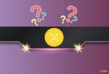 رئيس قسم التكنولوجيا السابق في ريبل يحذر بشدة من عمليات احتيال XRP