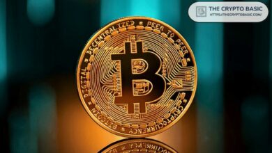 **ارتفاع بيتكوين الأخير غير مدعوم بطباعة عملات USDT كبيرة**