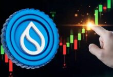 لماذا يرتفع سعر عملة SUI اليوم؟