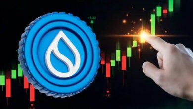 لماذا يرتفع سعر عملة SUI اليوم؟