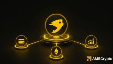 كيتا نتورك: هل سيساعد إطلاقها الجديد في تحويل 0.26 دولار إلى دعم لـ KTA؟