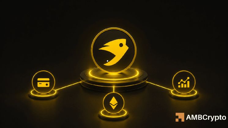 كيتا نتورك: هل سيساعد إطلاقها الجديد في تحويل 0.26 دولار إلى دعم لـ KTA؟