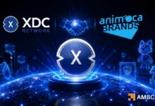 تجاوز XDC نطاق KEY الحاسم – هل يستطيع المضاربون الصمود فوق 0.037 دولار؟