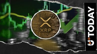 عنوان المقال المترجم: إكس آر بي أبعد من المدفوعات: مسؤول فلاتر يستعرض فرصاً جديدة