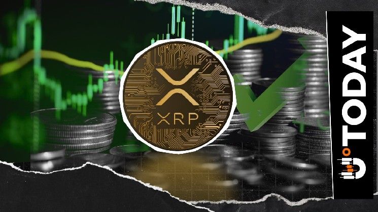 عنوان المقال المترجم: إكس آر بي أبعد من المدفوعات: مسؤول فلاتر يستعرض فرصاً جديدة