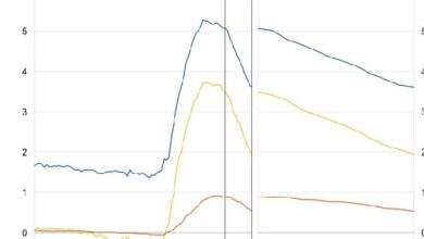 البنك المركزي الأوروبي يجب أن يرفع أسعار الفائدة في يونيو، وفقًا لـ "شنابل"