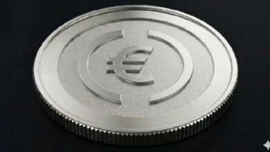 أكبر عملة مستقرة باليورو تصدرها شركة أمريكية، وأوروبا بحاجة للانتباه