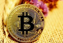العقد القابلة للبرمجة: كيف تُطلق ZK-Rollups و BitVM التمويل اللامركزي الأصلي للبيتكوين