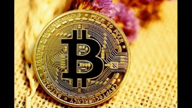 العقد القابلة للبرمجة: كيف تُطلق ZK-Rollups و BitVM التمويل اللامركزي الأصلي للبيتكوين