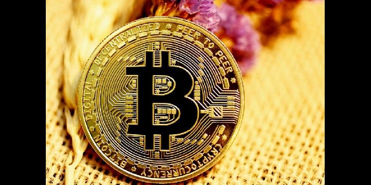 العقد القابلة للبرمجة: كيف تُطلق ZK-Rollups و BitVM التمويل اللامركزي الأصلي للبيتكوين