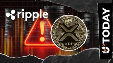 'لا إنزال جوي': مطور XRPL يكرر تحذيرًا حاسمًا لمجتمع XRP