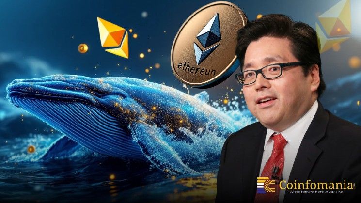 حيتان الإيثيريوم تحرك 200 مليون دولار، هل توم لي وراء الشراء؟