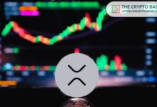عمليات سحب XRP من بينانس تسجل أعلى مستوى في أكثر من شهر