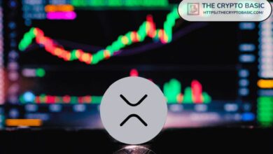 عمليات سحب XRP من بينانس تسجل أعلى مستوى في أكثر من شهر
