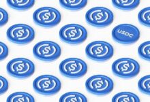 نيار تضيف مدفوعات USDC الخاصة للوكلاء الذكيين في السوق